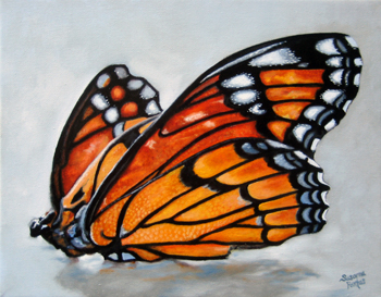 Contemplation: Monarch by Susanna Pantas